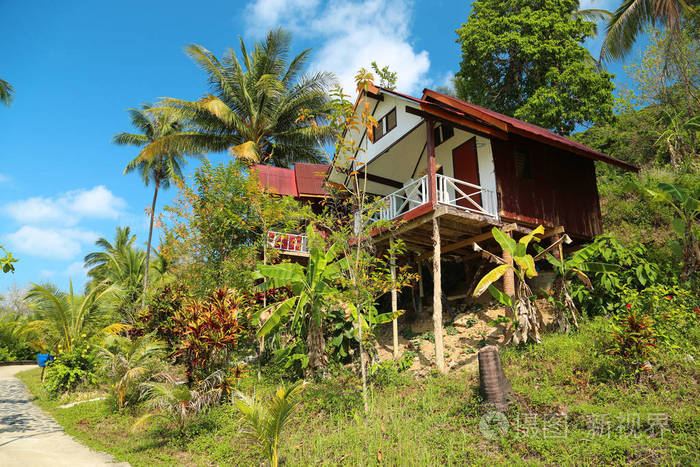 泰国高怀岛棕榈树之间美丽的平房