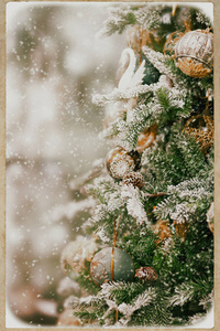 圣诞节背景装饰圣诞树复古风格图片