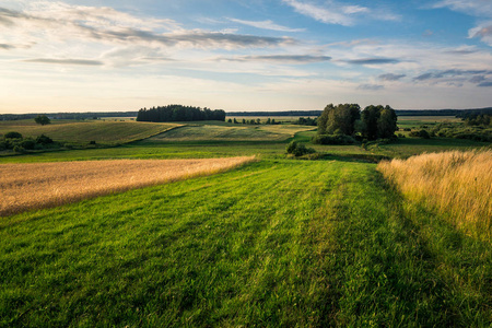 波兰BanieMazurskieMasuria附近有Masurian草地的景观