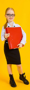 红色头发的女孩在黄色背景。一个戴着透明眼镜的迷人女孩手里拿着一个大红色的文件夹。
