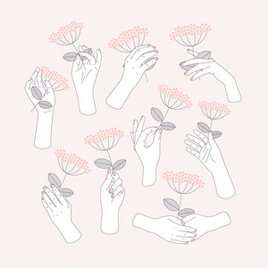 手拿着花图片-手拿着花素材-手拿着花插画-摄图新视界