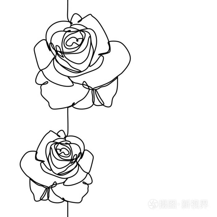 插画 玫瑰花极简设计的一条线图孤立在白色背景上.