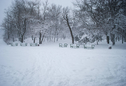 有长凳的雪公园