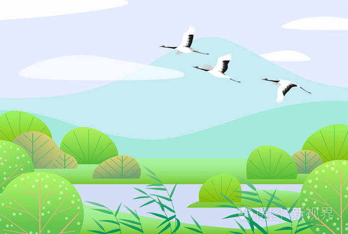 自然背景与湿地场景和飞行日本起重机.