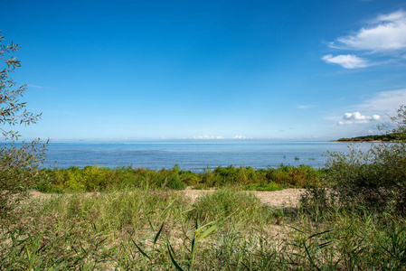 空旷的海滩，沙丘和干燥的树干在夏天被冲到岸边。 平静的，平静的