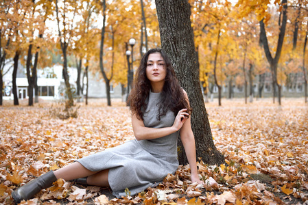漂亮的女人坐在大树附近的秋天公园里。 秋天的美丽景观。