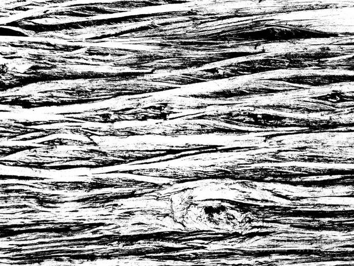 有横向条纹的黑白纹理树皮表面无颜色模板的背景
