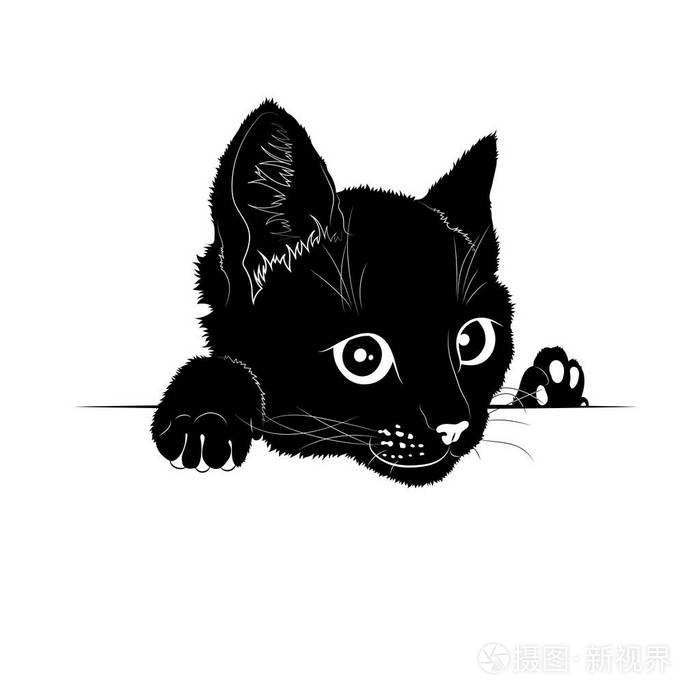矢量图猫的黑色轮廓