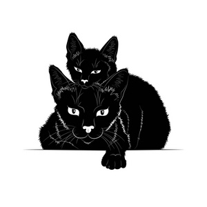 猫和小猫的黑色轮廓照片