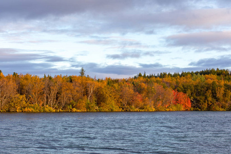 秋天森林和湖面的景色。 美丽的秋天景观，有水和明亮的植被。 冰岛。 欧洲