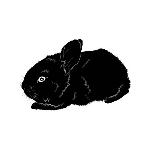 一只小兔子的黑色轮廓图片
