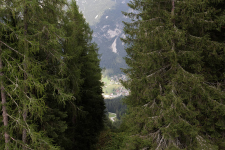 意大利奥隆佐迪卡多夏季的登山运动