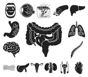 人体黑色图标的内部器官在集合中进行设计。解剖学和医学矢量符号股票 web 插图