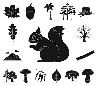 森林和自然黑色的图标集合中的设计。森林生命矢量符号股票网页插图