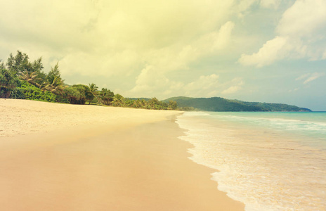 热带海滩，棕榈和明亮的沙子。 暑假和旅游理念。 阳光明媚
