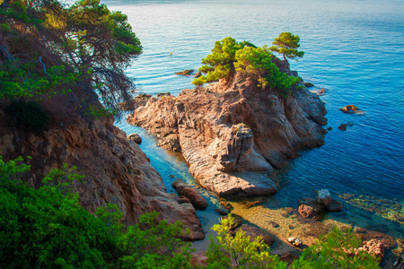 美丽的夏季地中海自然在西班牙海岸线