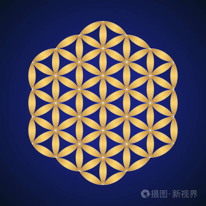 矢量金饰设计抽象曼陀罗神圣几何插图生命之花隔离在黑暗背景上