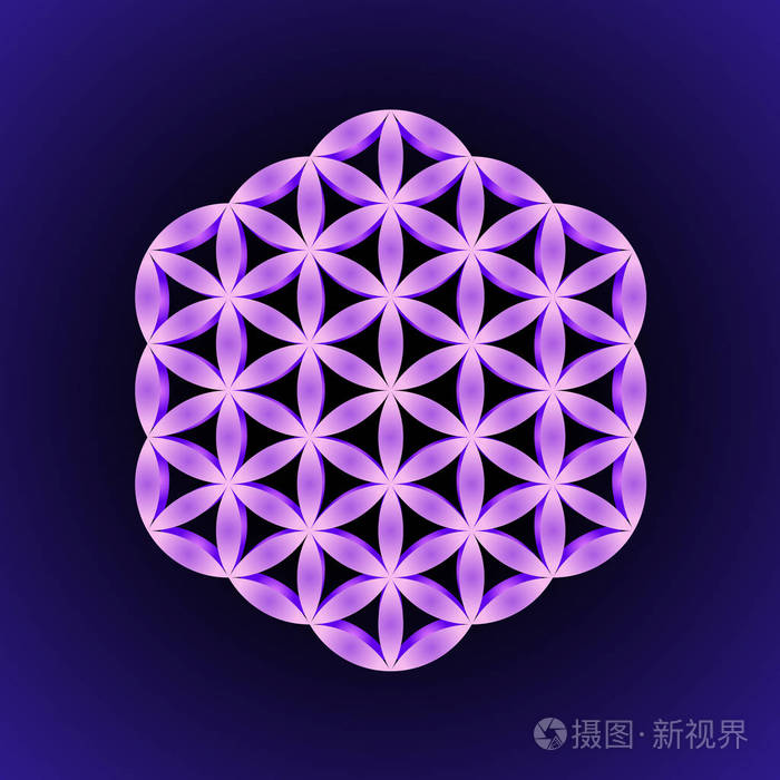 矢量紫罗兰体积装饰设计抽象曼陀罗神圣几何插图生命之花隔离在黑暗