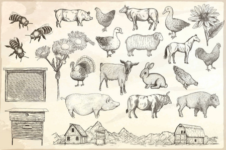农场动物的收集。矢量 eps10 孤立插图
