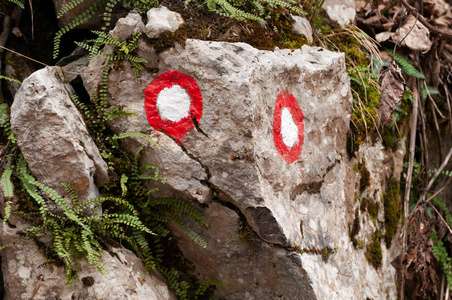 两个红色和白色的小径标记在一个岩石上覆盖着苔藓旁边的步行小径。 冒险徒步旅行和定向概念。