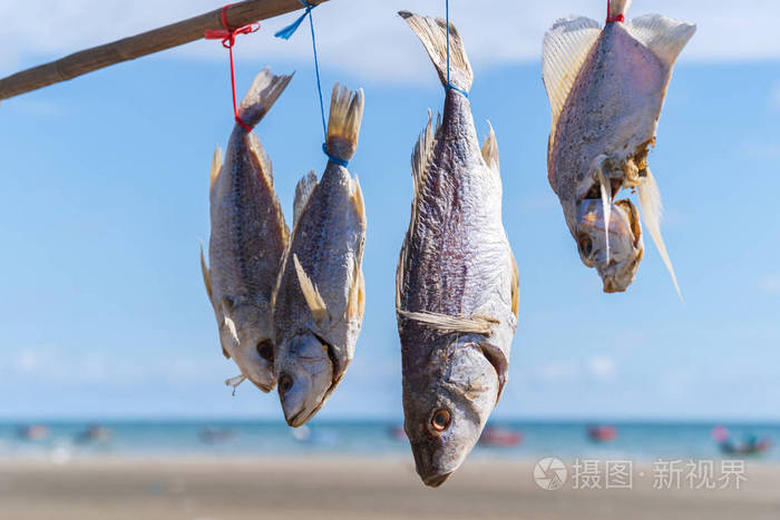 在蔚蓝的海面和天空上晒太阳的鱼
