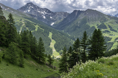 Assietta and Colle delle Finestre, Turin, Piedmont, italy, at su