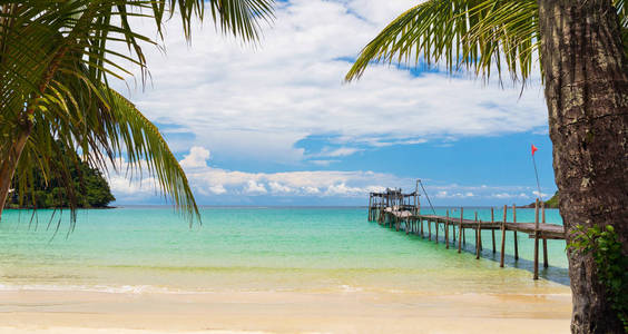 美丽的热带海滩和蓝天下的椰子棕榈树的海洋