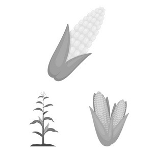 玉米和树叶标志的矢量设计。玉米和甜股票向量的汇集例证