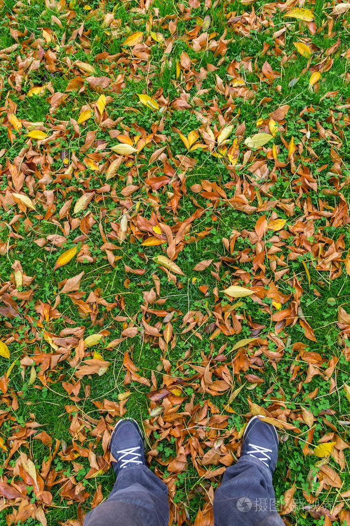 一个人的脚踩在绿色草地上五颜六色的落叶上
