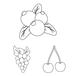 浆果和水果符号的向量例证。收集浆果和红莓矢量图标的股票