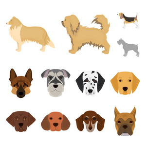 矢量设计的可爱和小狗标志。收藏可爱和动物股票向量例证