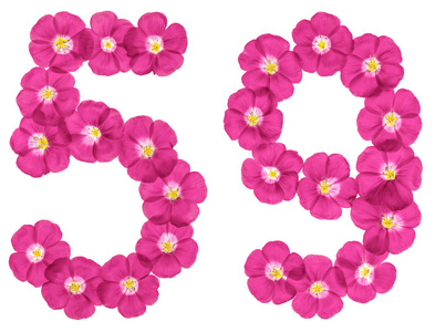 阿拉伯数字59,59，从白色背景上分离的亚麻粉红色花中分离出来的