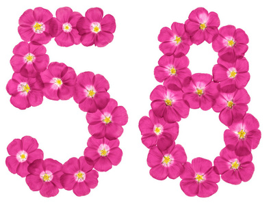 阿拉伯数字58508从白色背景上分离的亚麻粉红色花中
