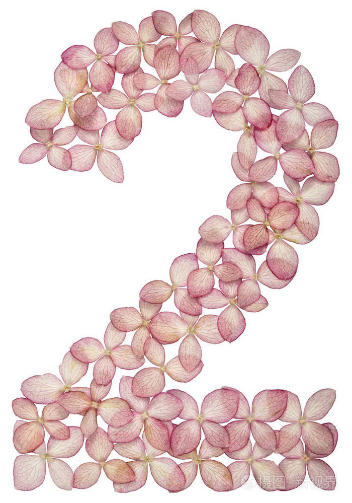 白底绣球花中的阿拉伯数字2