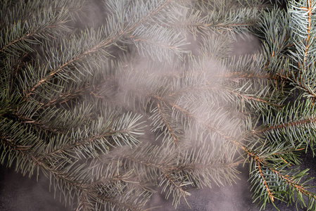 松树在烟流中刺枝的完整框架图像