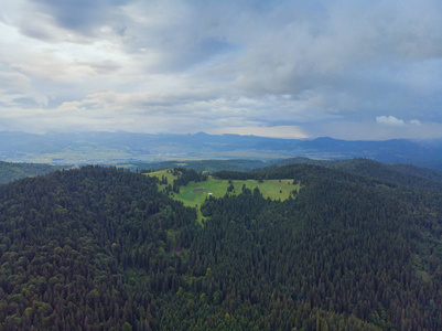绿杉林的鸟瞰图。 无人驾驶飞机在罗马尼亚的山口到山谷景色