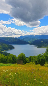 夏季绿色景观湖泊和山脉