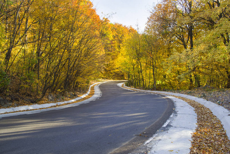 秋天弯曲的道路景观黄色的森林景观