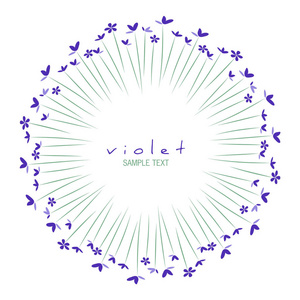 白色背景下孤立的野生紫罗兰圆形框架