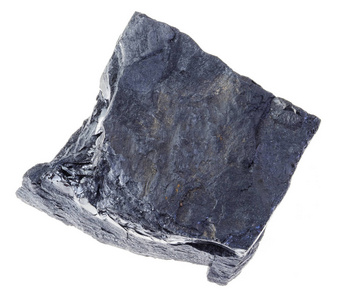 标本采集图片-标本采集素材-标本采集插画-摄图新视界