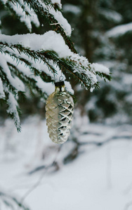 寒假和装饰概念红圣诞球在杉树枝上覆盖着雪