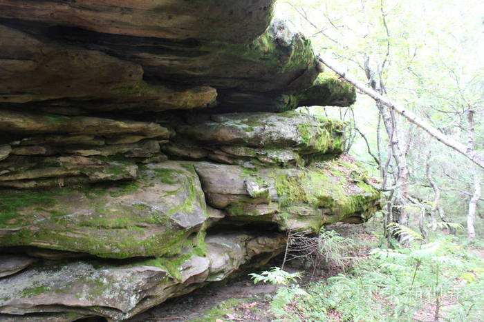 图片山上的森林和石头景观/图片乌拉尔山的美丽景观.