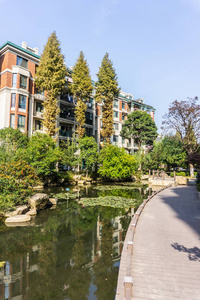 芜湖安徽中国睡莲池塘边有长廊树和背景公寓楼