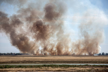 夏季干旱期间，南部草原爆发了强烈的燎原大火和大量的窒息烟雾。 火线来到城镇房屋。 生态灾难