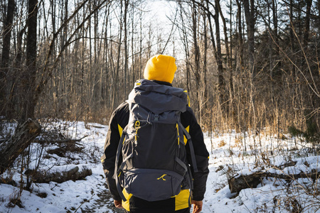徒步旅行 一个戴着黄色帽子的人在冬天的森林里徒步旅行, 背着一个灰色的大背包。从后面查看