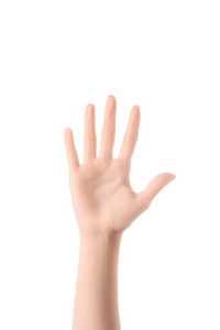 以白色隔离的手语显示数字5的妇女的部分看法