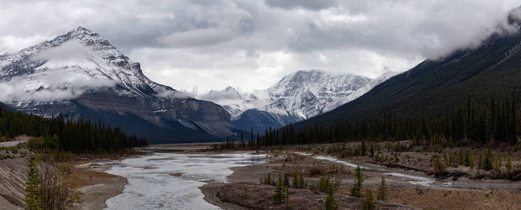 秋季加拿大岩石山景观的风景全景。 被带到冰田pkwy JasperAlberta加拿大。