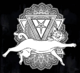 跳跃的黑猫图片