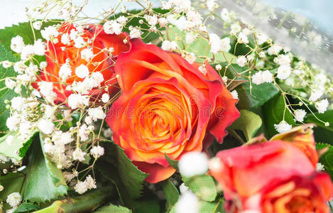 一束柔和的红玫瑰和黄玫瑰图片