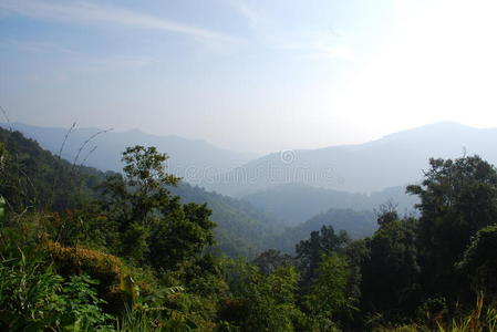 泰国的森林和山脉